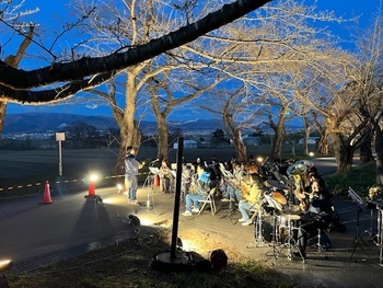 桜トンネル
