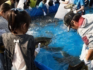 つかみどり.jpg