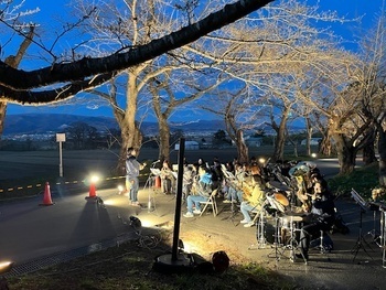 桜トンネル