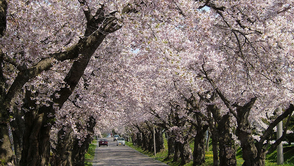 松前藩戸切地（へきりち）陣屋跡