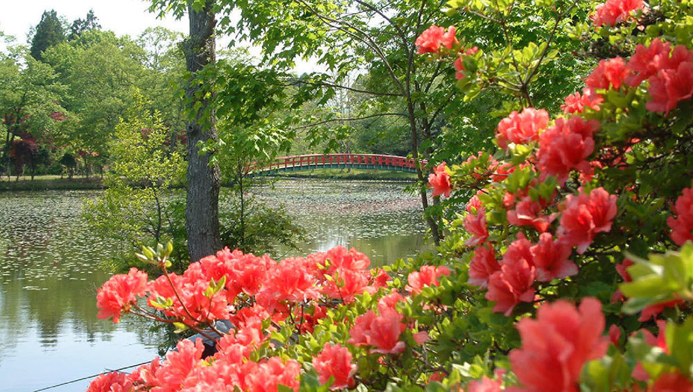 八郎沼公園