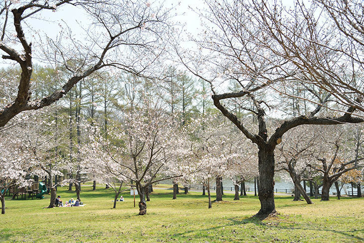 八郎沼公園