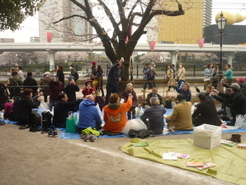 観桜会