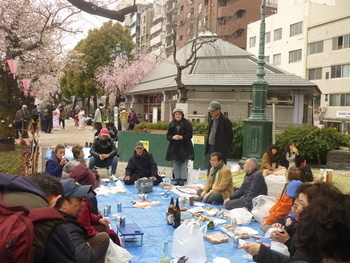 観桜会