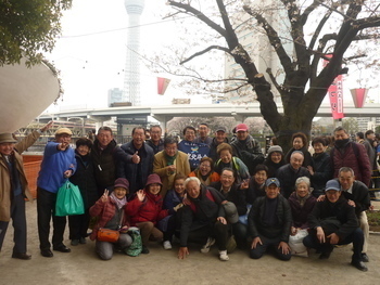 観桜会