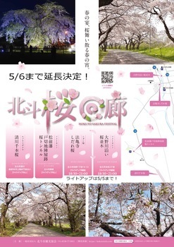 北斗桜回廊チラシ表