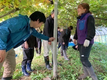 トロッコ果樹園
