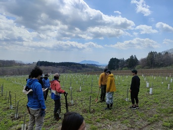 植樹の風景