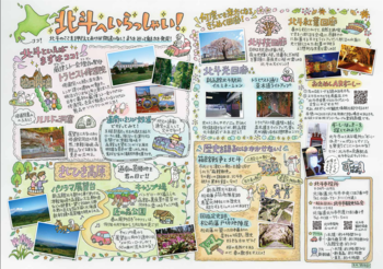 イラストマップ裏