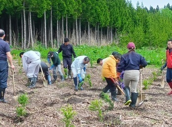 植樹運動の様子