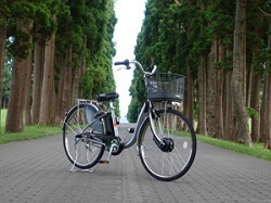 レンタル自転車