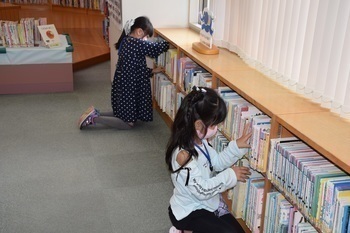 本棚の整理