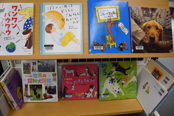 ワンダフルな本