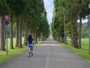 レンタル自転車