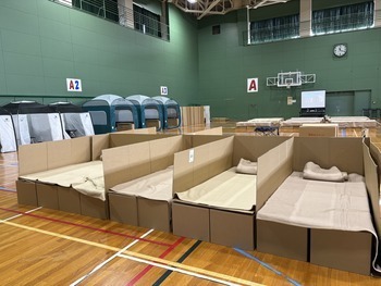 ダンボールベッド