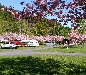 湯の沢水辺公園キャンプ場