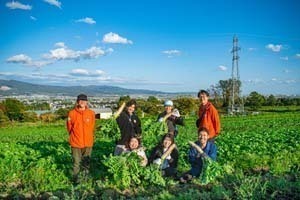 白石農園　大根収穫