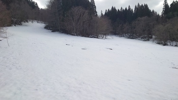 柳沢スキー場2