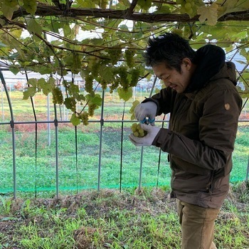 トロッコ生産者の顔