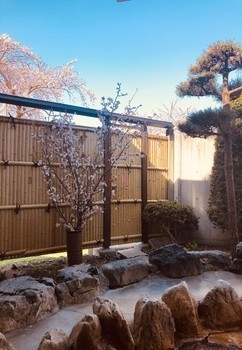 せせらぎ花見風呂の写真