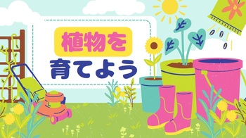 植物