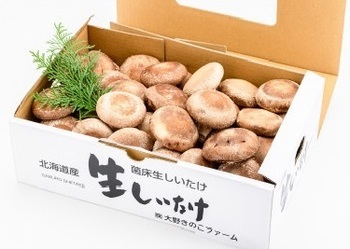 北海道の自然で育った肉厚しいたけ 1kg