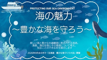 海の魅力