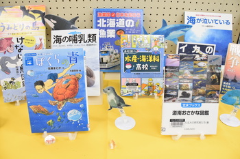 海に関する本