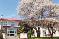 石別小学校