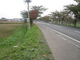 東京からの距離