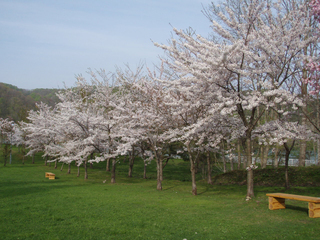 上磯ダム公園